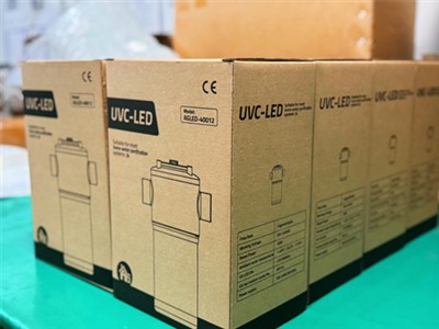 Agled-40012-Going Global Like a Pop Star